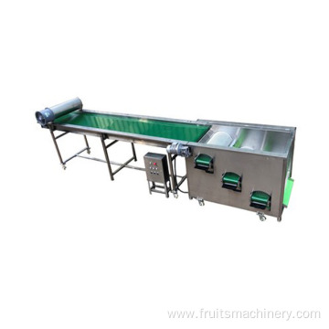 Blueberry Sorting Machine Grading Machine